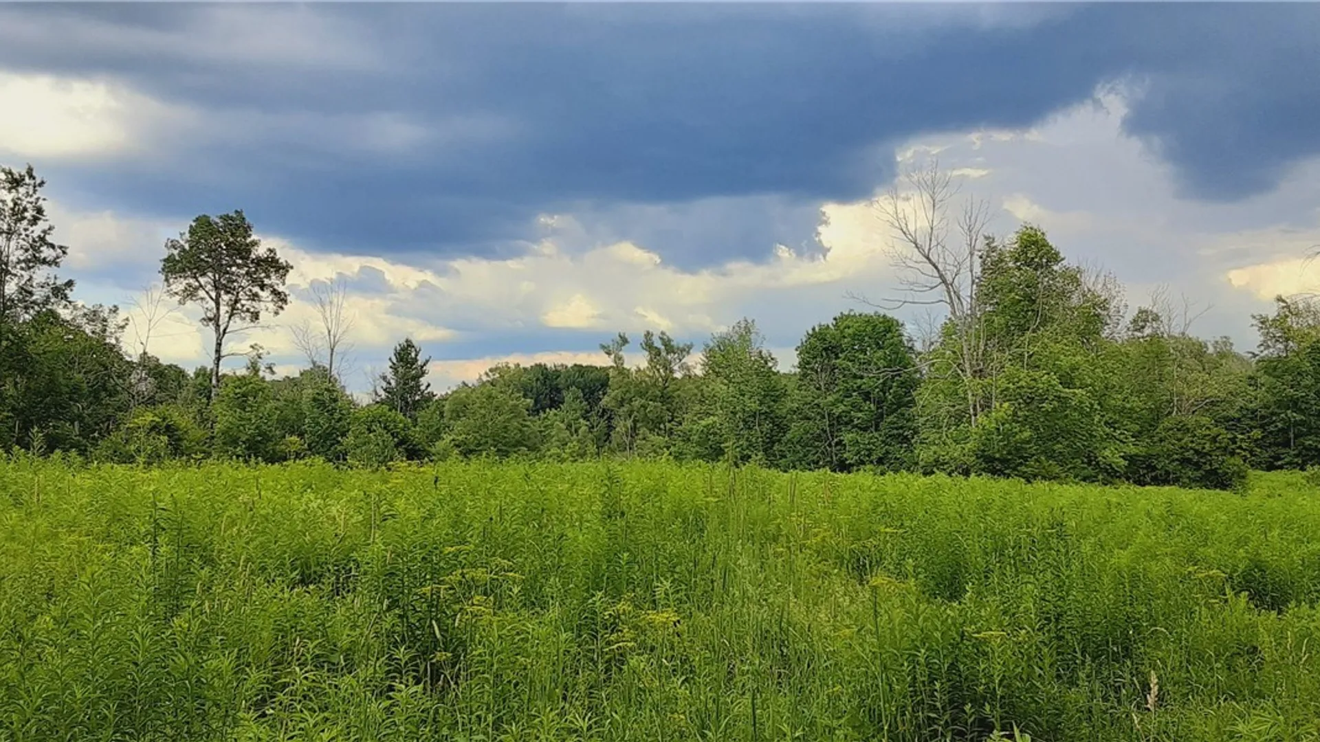Property at 271 Snyder Road, Norway, NY 13416 18
