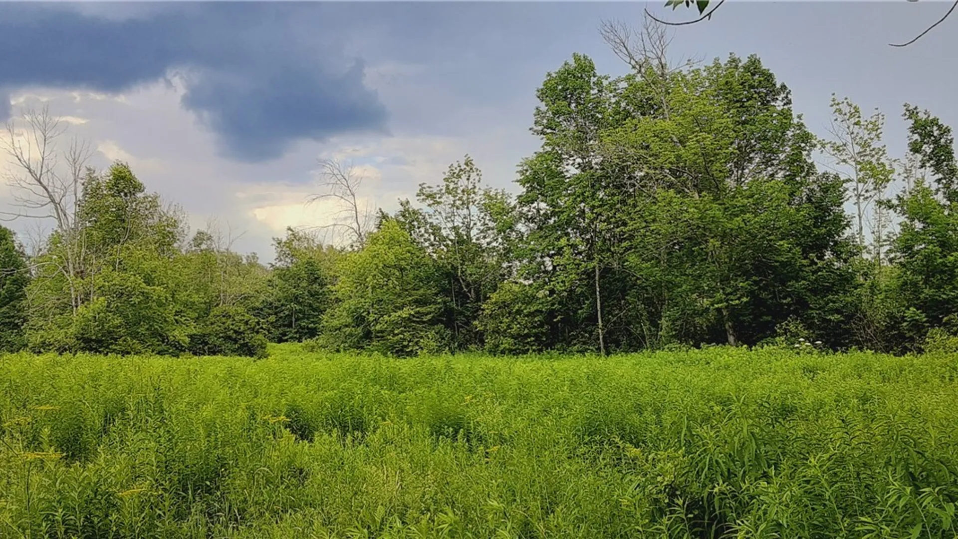 Property at 271 Snyder Road, Norway, NY 13416 19