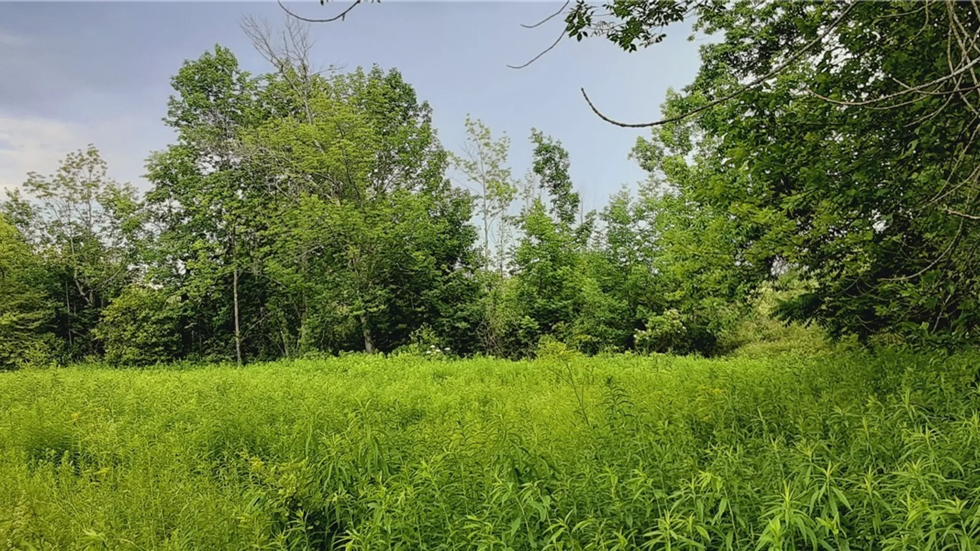 Property at 271 Snyder Road, Norway, NY 13416 20