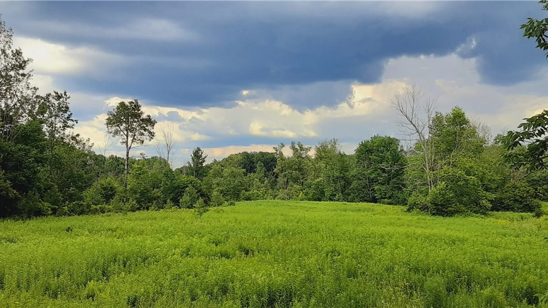Property at 271 Snyder Road, Norway, NY 13416 21