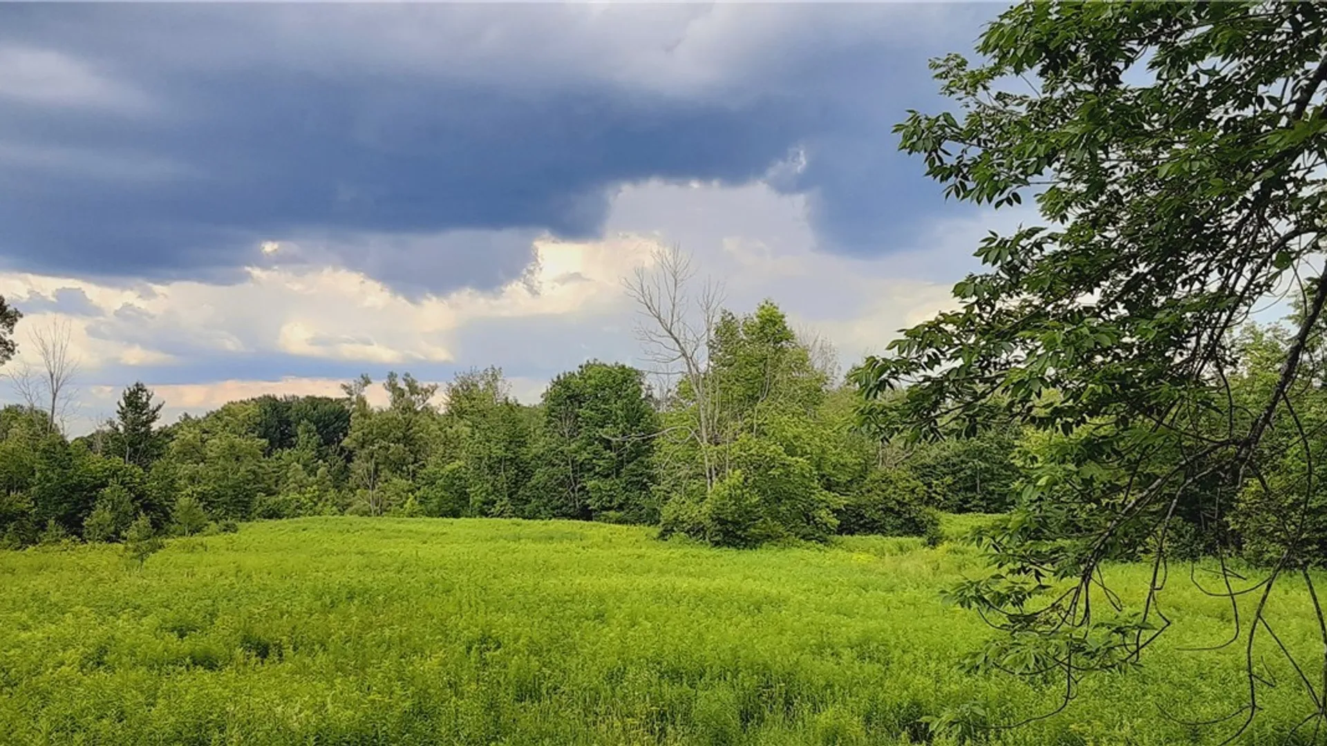Property at 271 Snyder Road, Norway, NY 13416 22