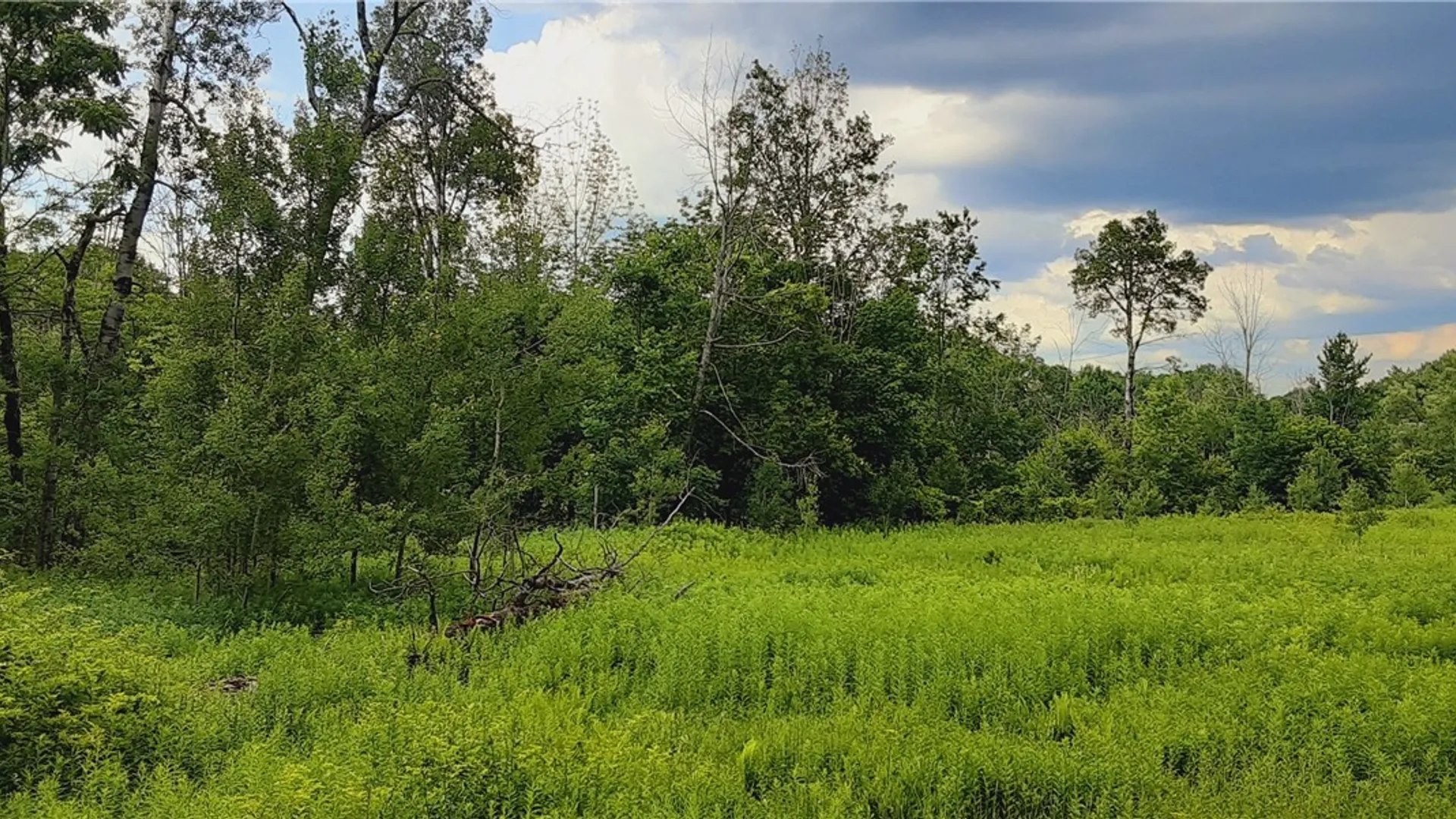 Property at 271 Snyder Road, Norway, NY 13416 23