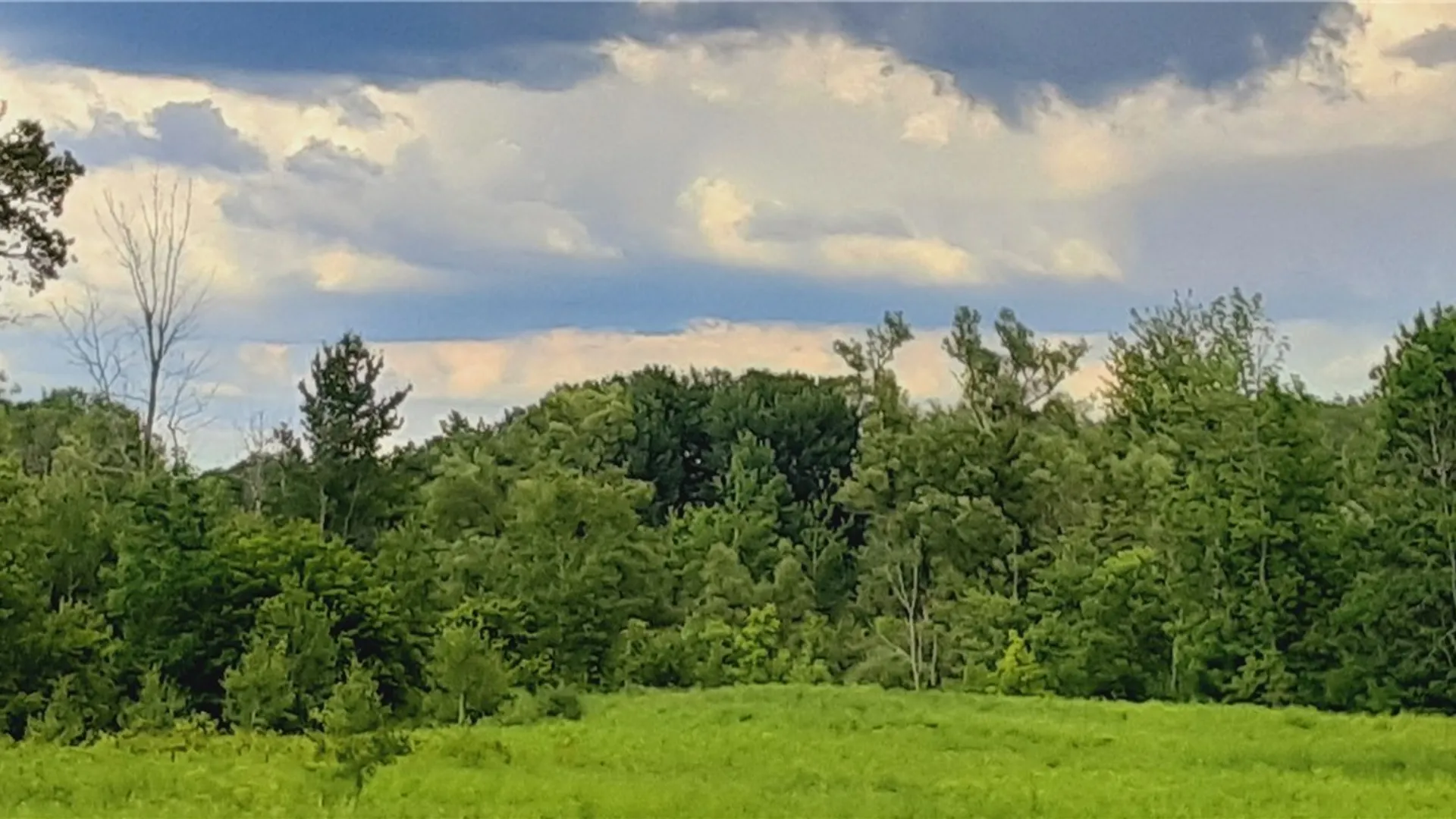 Property at 271 Snyder Road, Norway, NY 13416 24