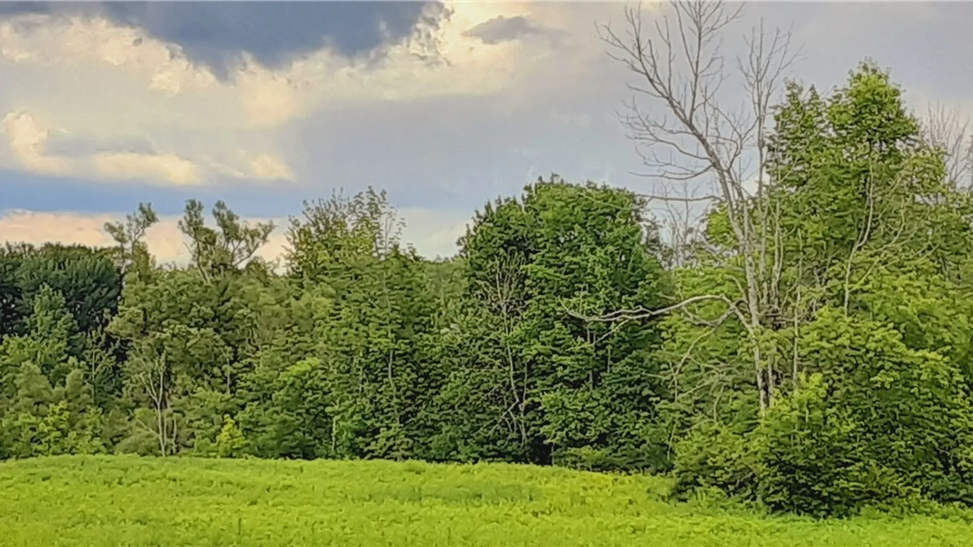 Property at 271 Snyder Road, Norway, NY 13416 25