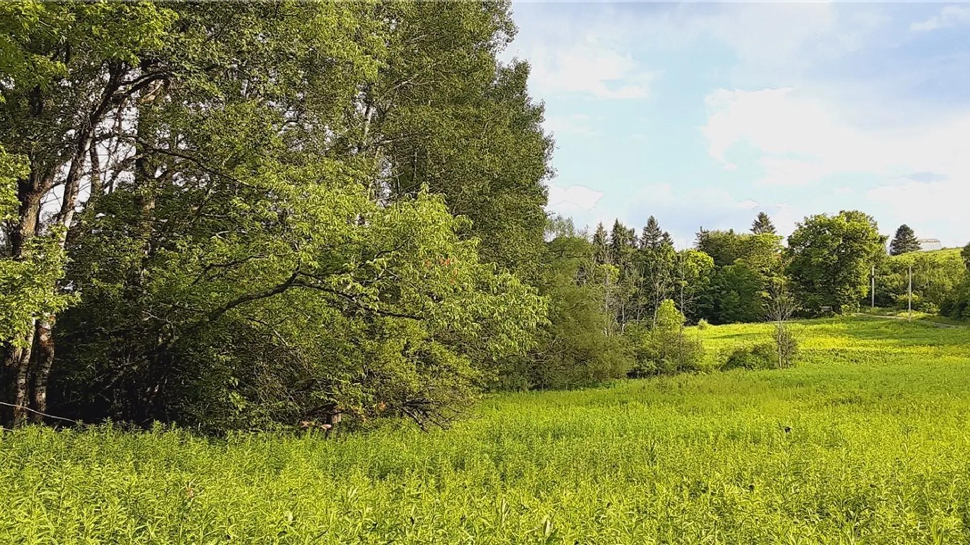 Property at 271 Snyder Road, Norway, NY 13416 29