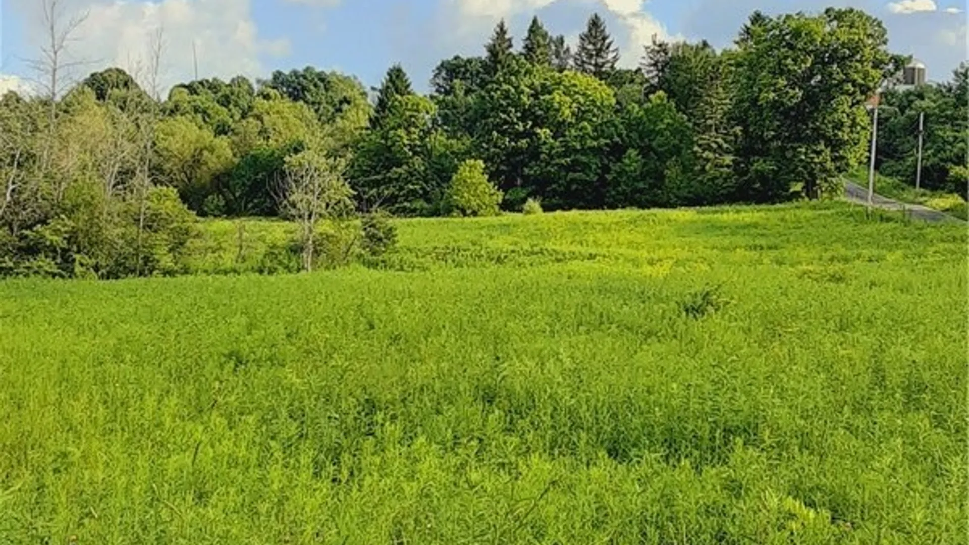 Property at 271 Snyder Road, Norway, NY 13416 30