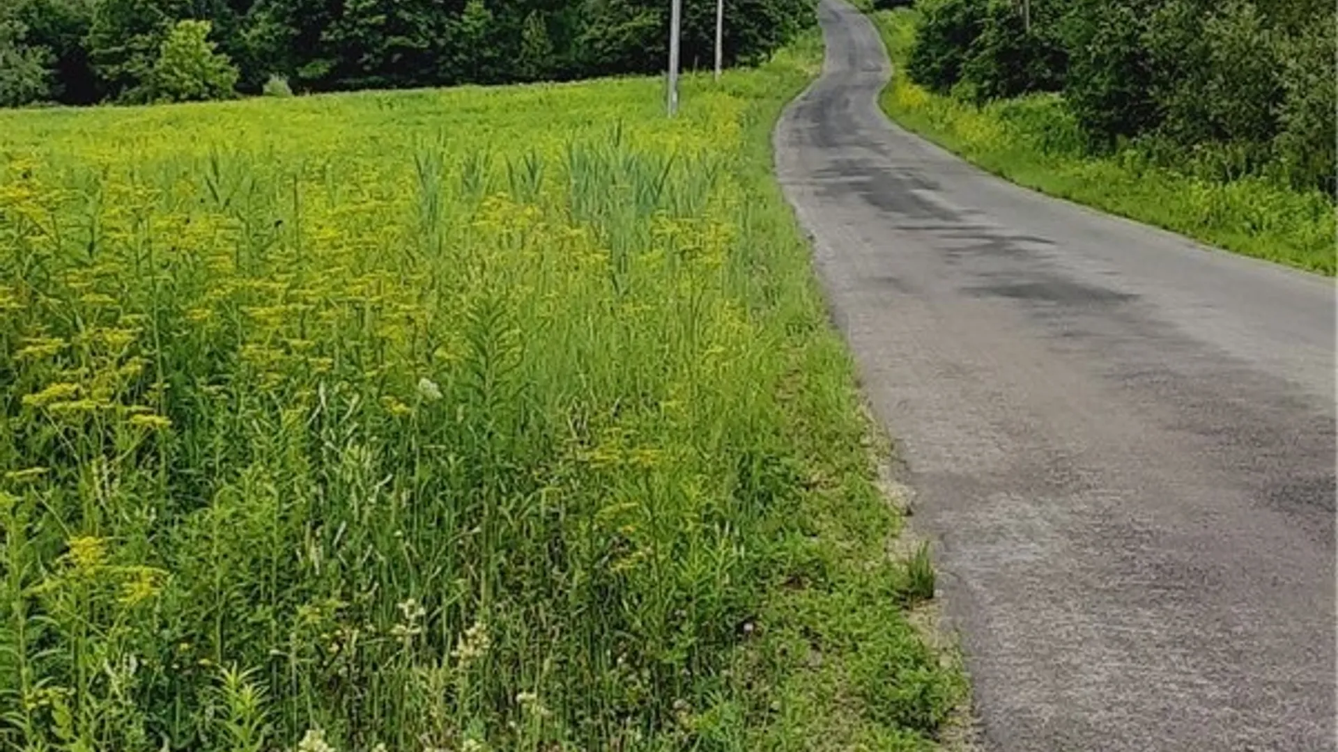 Property at 271 Snyder Road, Norway, NY 13416 31