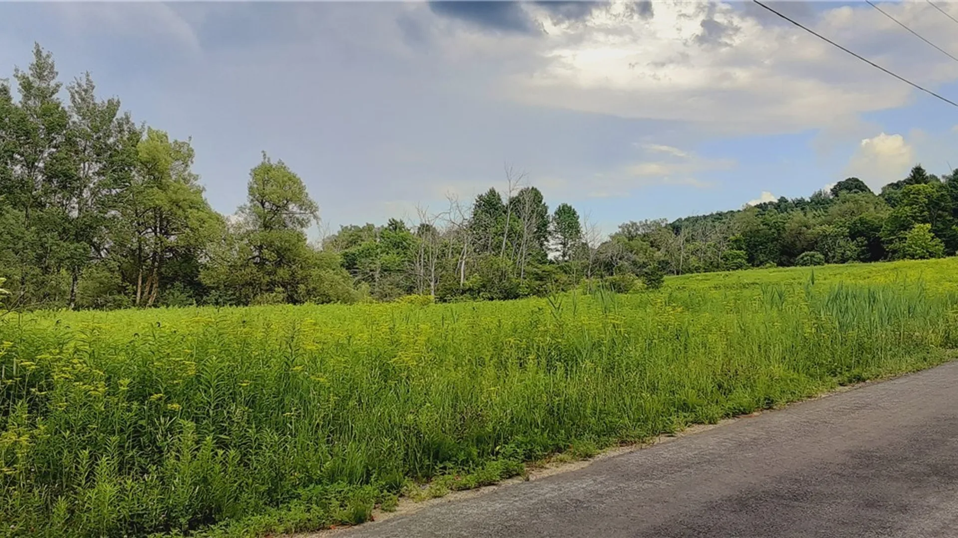 Property at 271 Snyder Road, Norway, NY 13416 32