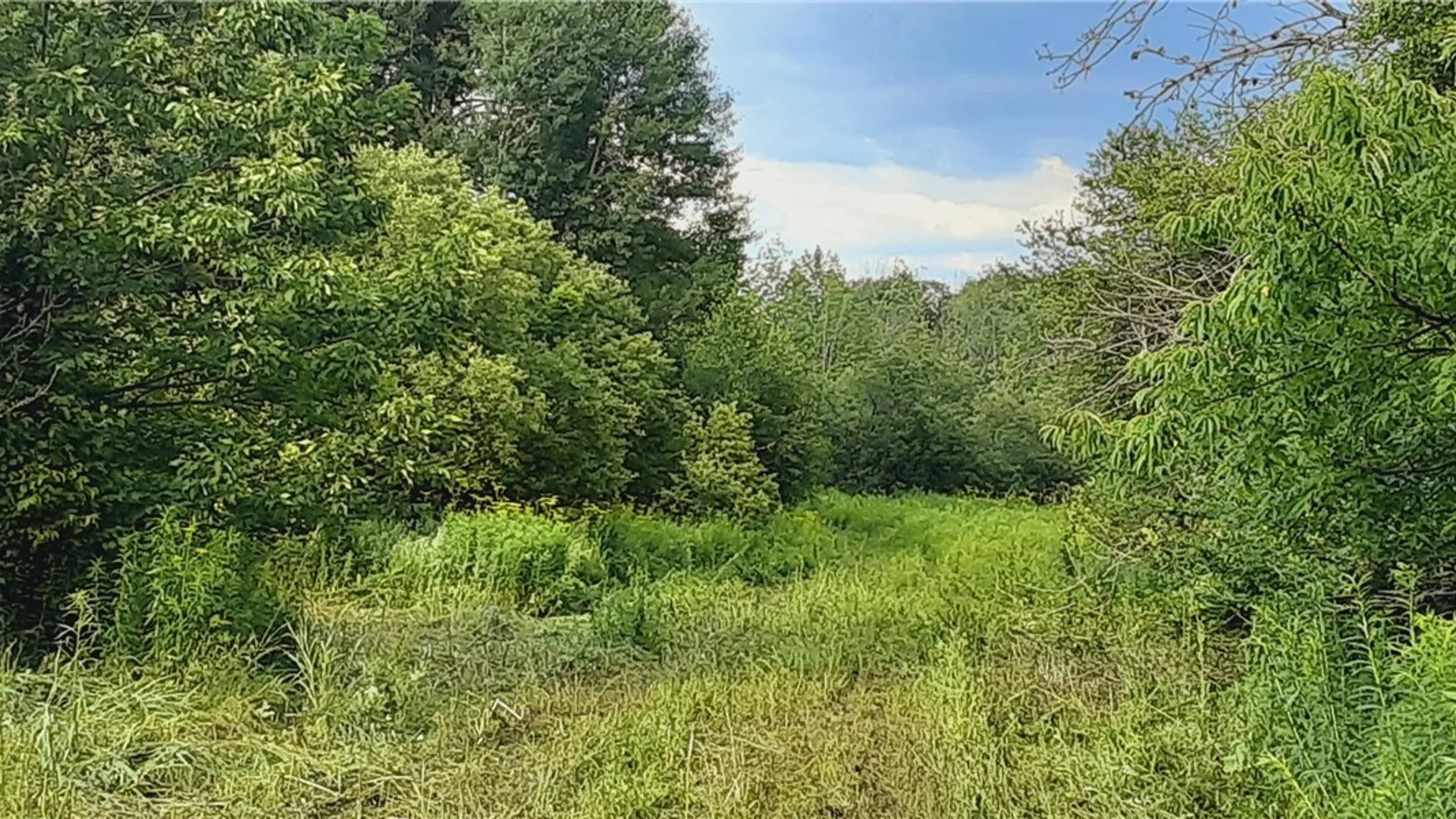 Property at 271 Snyder Road, Norway, NY 13416 34