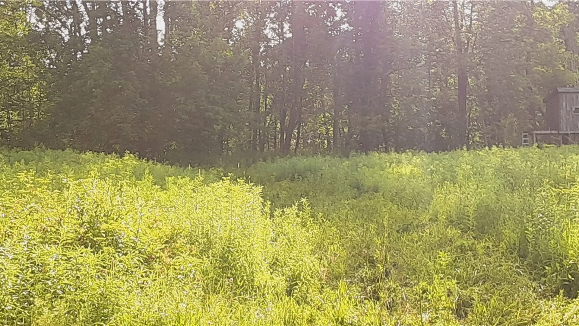 Property at 271 Snyder Road, Norway, NY 13416 35