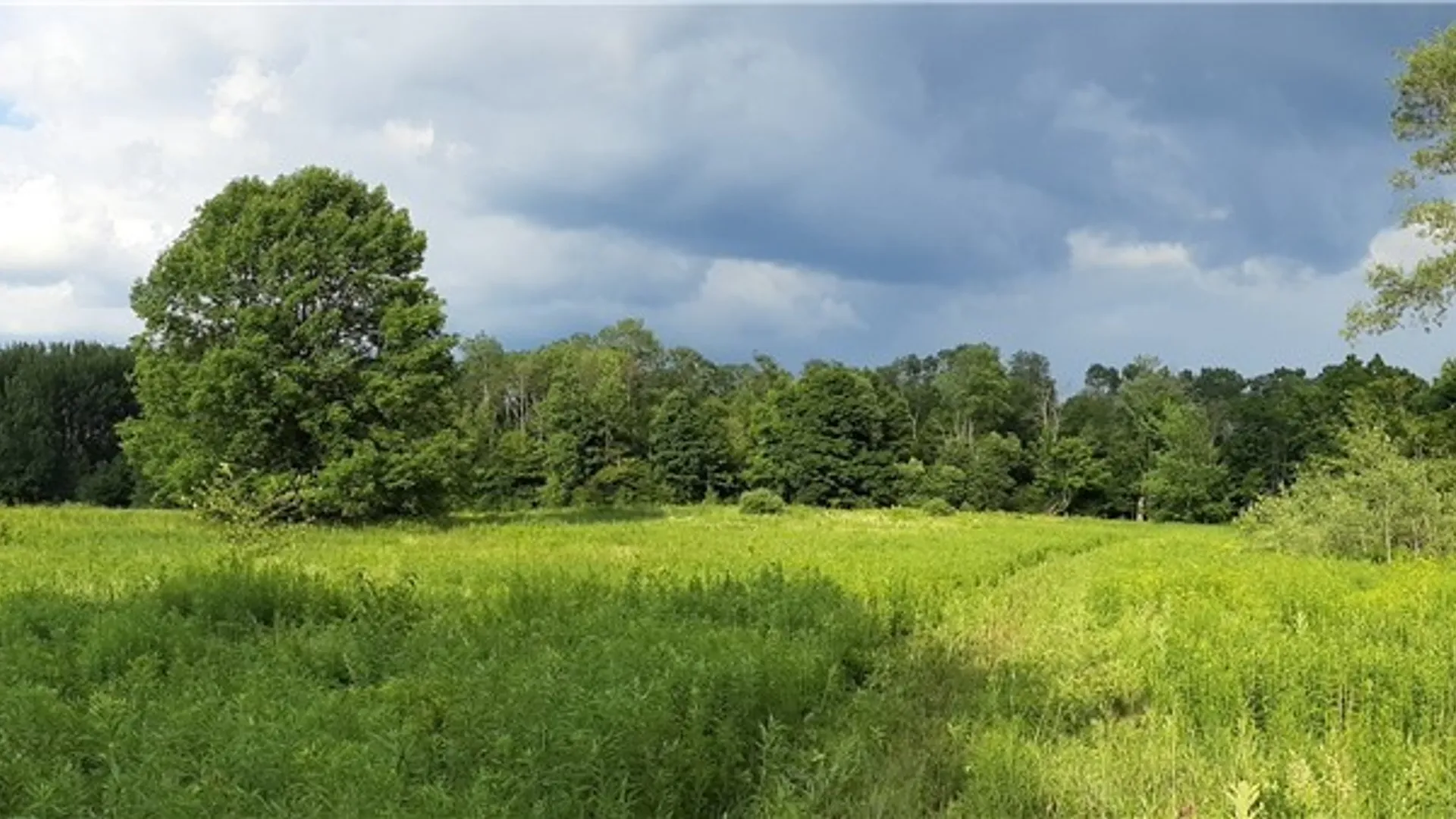 Property at 271 Snyder Road, Norway, NY 13416 5