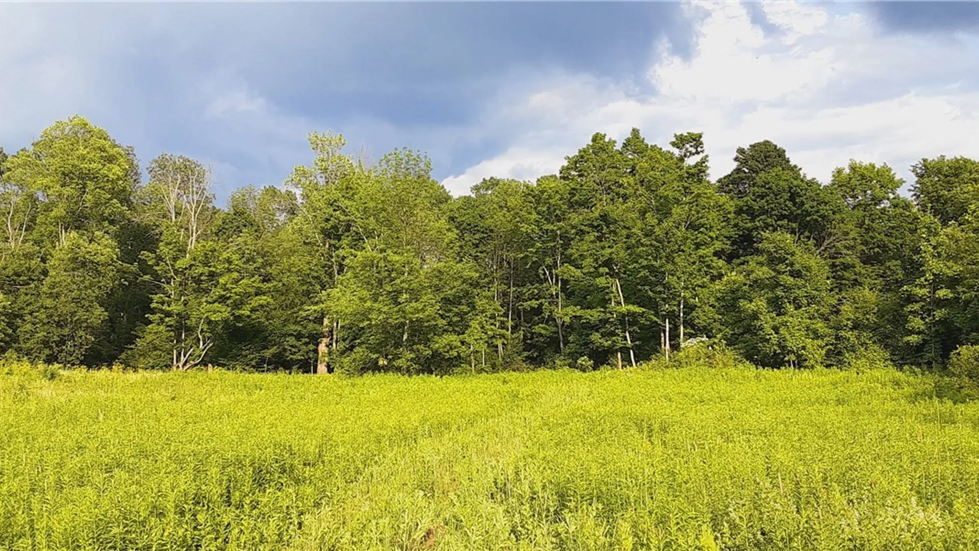 Property at 271 Snyder Road, Norway, NY 13416 36