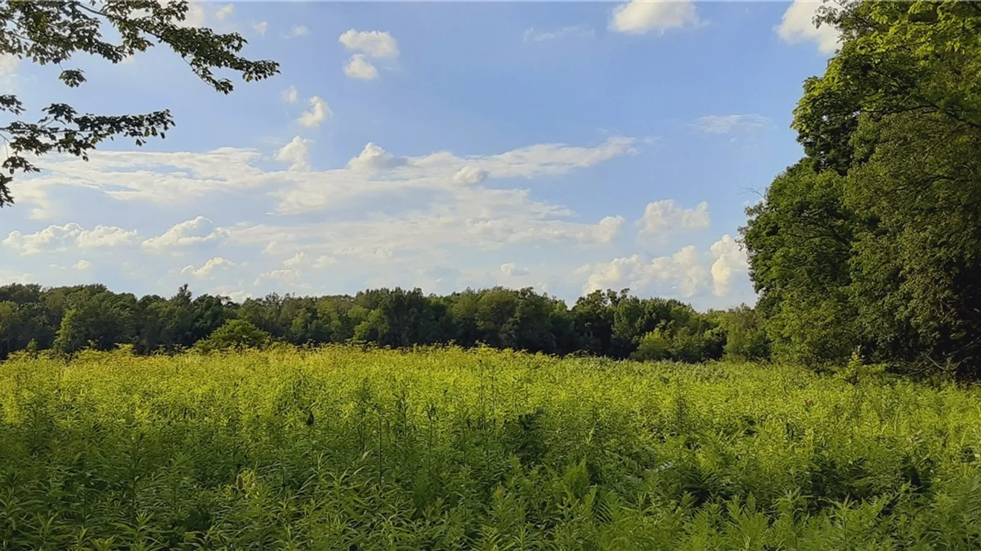 Property at 271 Snyder Road, Norway, NY 13416 37