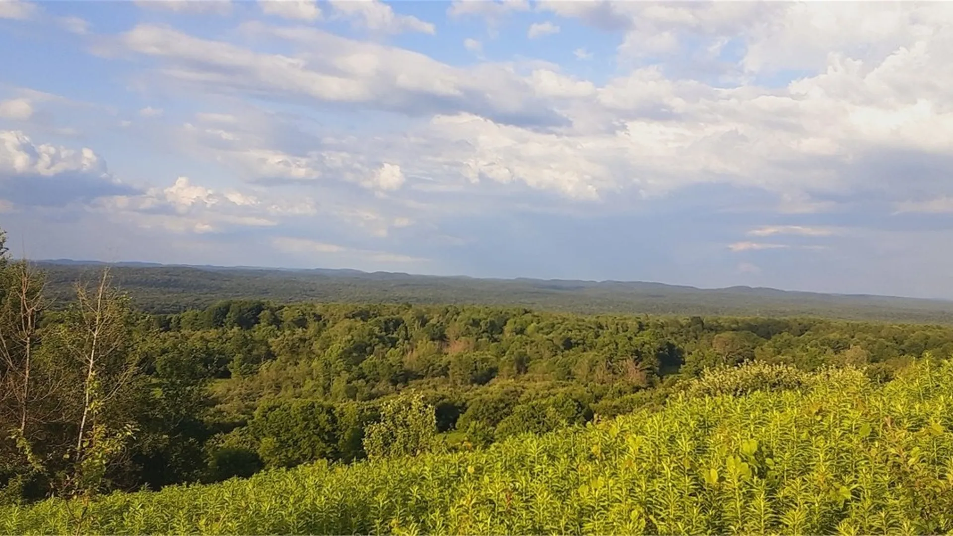 Property at 271 Snyder Road, Norway, NY 13416 39