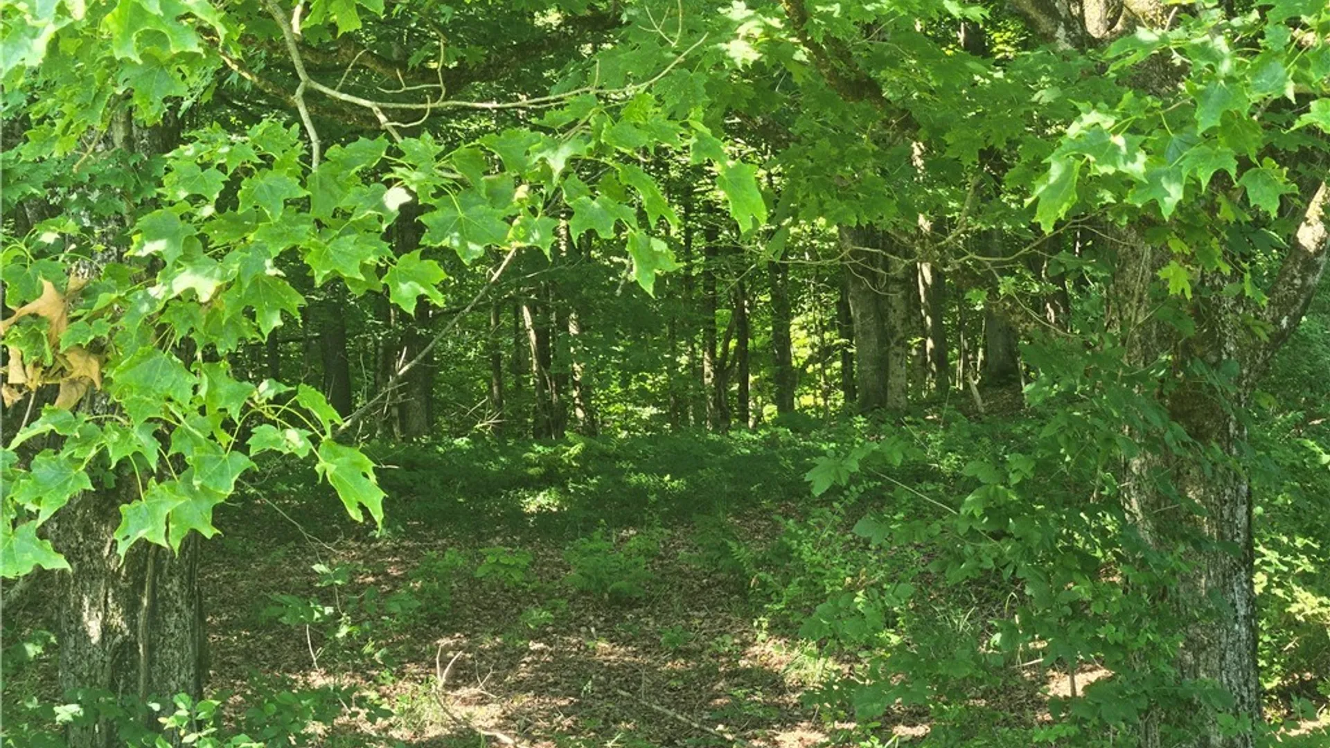 Property at 1261 County Route 30 Road, Williamstown, NY 13302 15