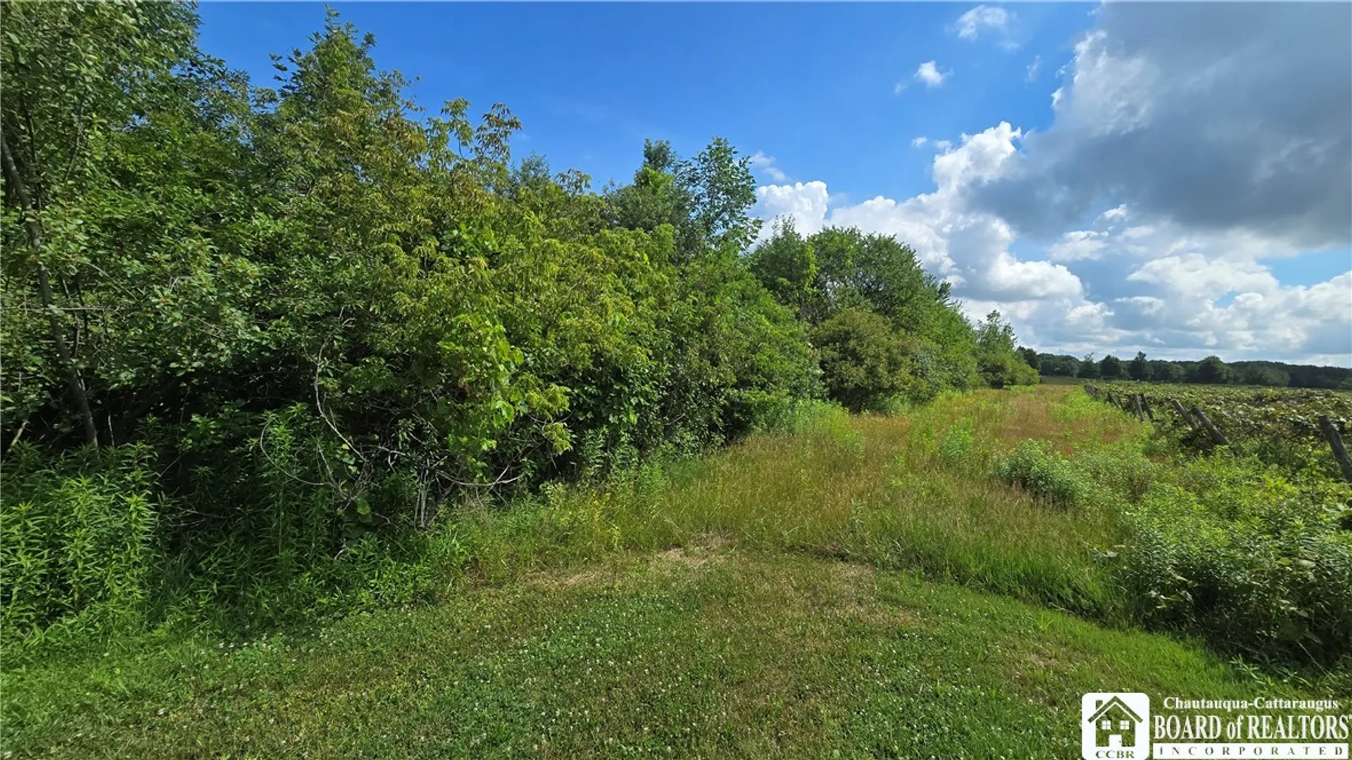Property at 0 Alleghany Road, Hanover, NY 14136 12