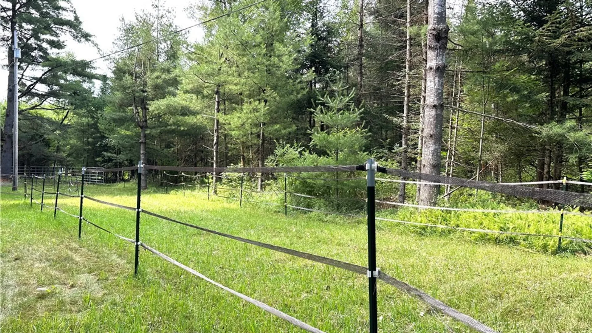 Property at 7528 N Chases Lake Road, Watson, NY 13343 17