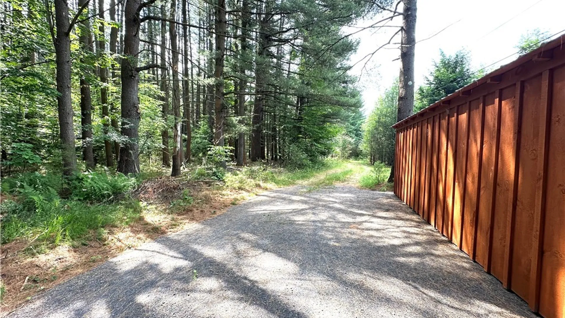Property at 7528 N Chases Lake Road, Watson, NY 13343 9