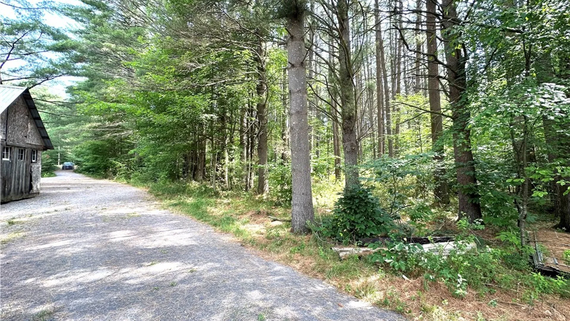 Property at 7528 N Chases Lake Road, Watson, NY 13343 21