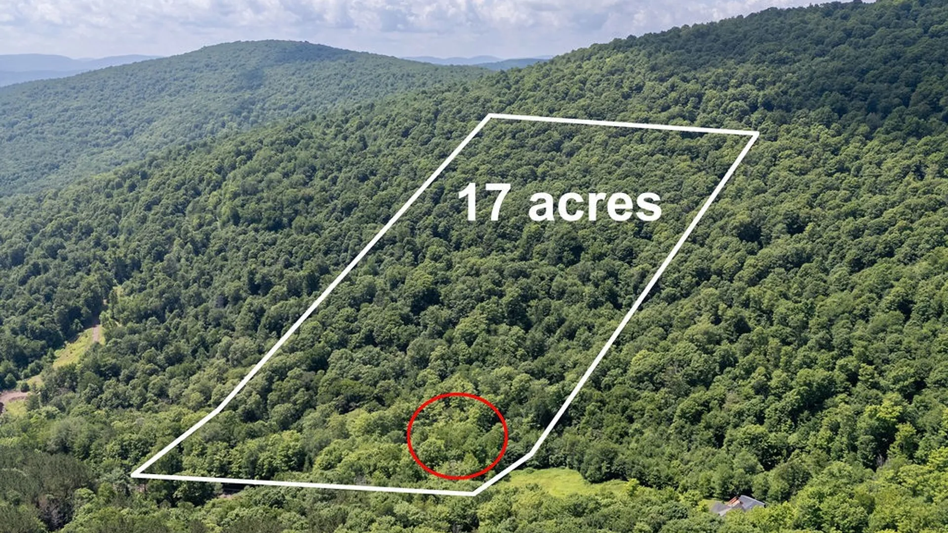 Property at 4265 Weaver Hollow Road, Andes, NY 13731 3