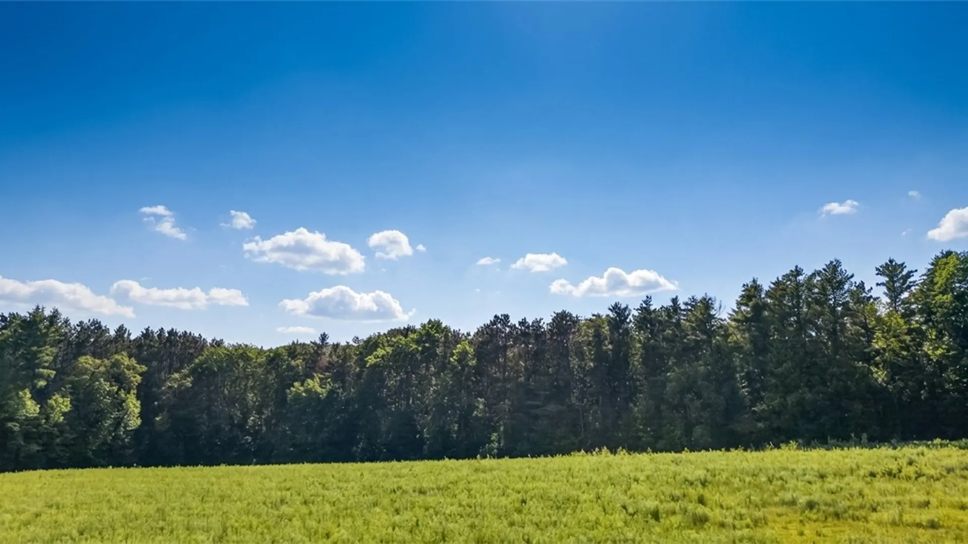 Property at L14.02 Hinman Road, Middlefield, NY 13326 5