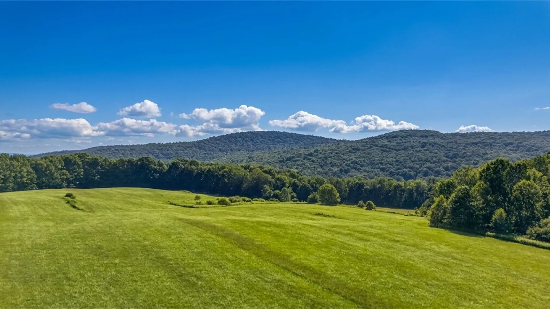Property at L14.02 Hinman Road, Middlefield, NY 13326 7