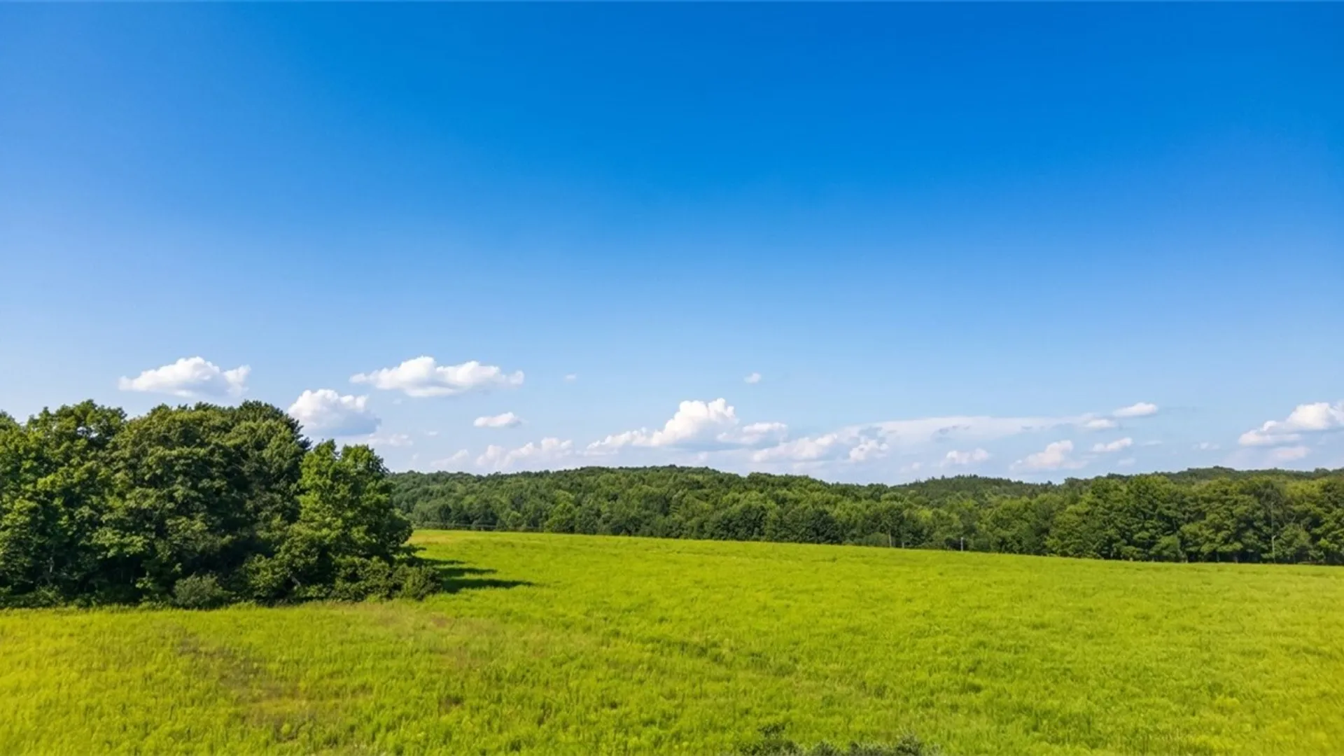 Property at L14.02 Hinman Road, Middlefield, NY 13326 9