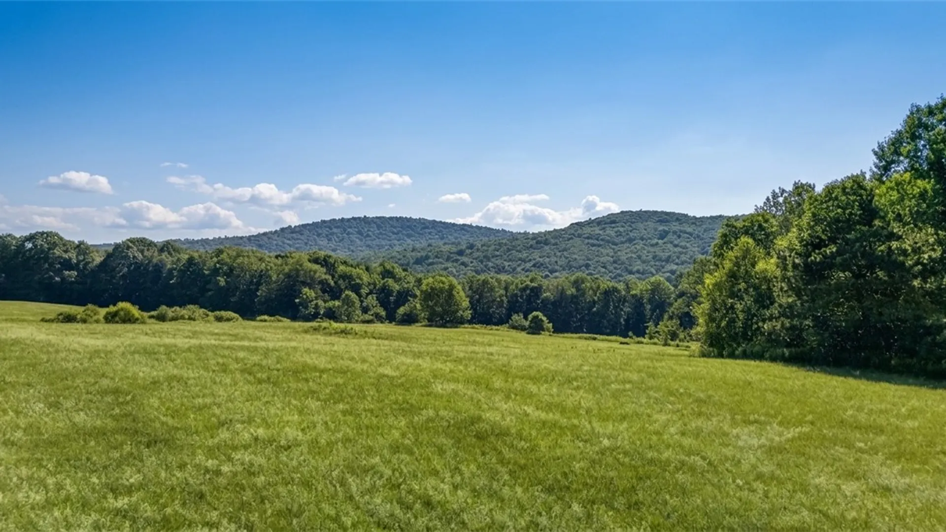 Property at L14.02 Hinman Road, Middlefield, NY 13326 14