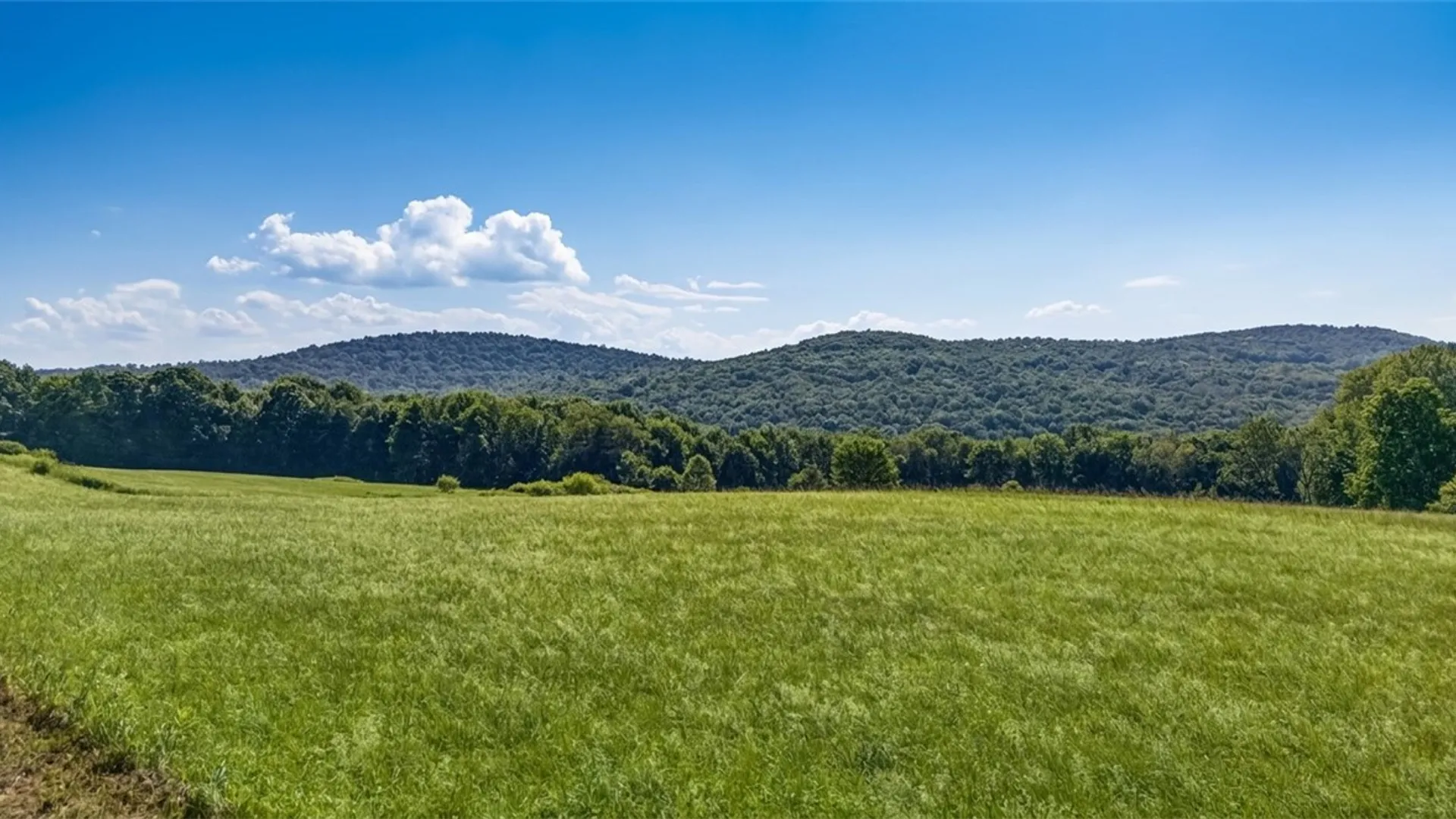 Property at L14.02 Hinman Road, Middlefield, NY 13326 21