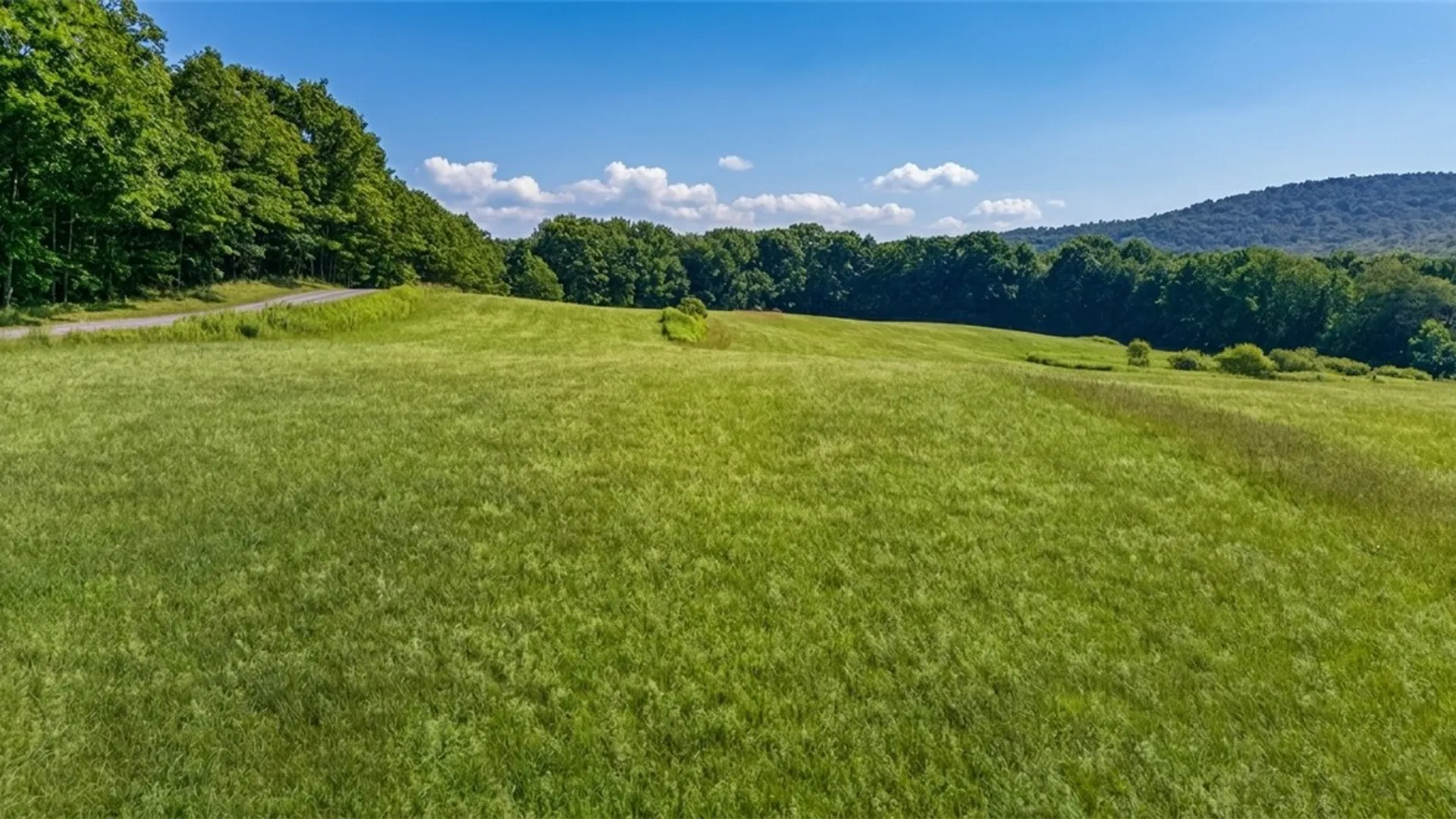 Property at L14.02 Hinman Road, Middlefield, NY 13326 23