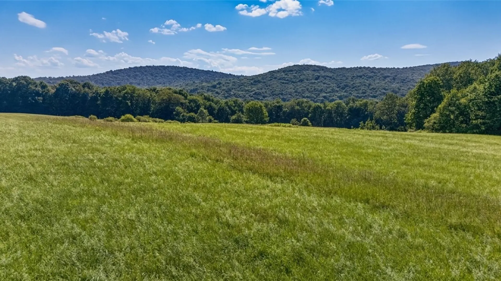 Property at L14.02 Hinman Road, Middlefield, NY 13326 26