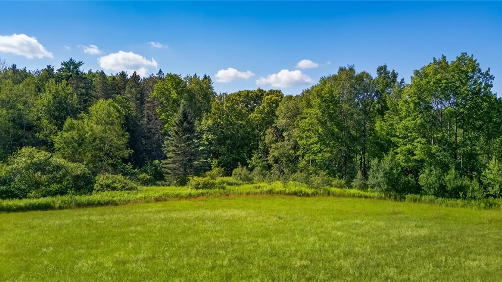 Property at L14.02 Hinman Road, Middlefield, NY 13326 27