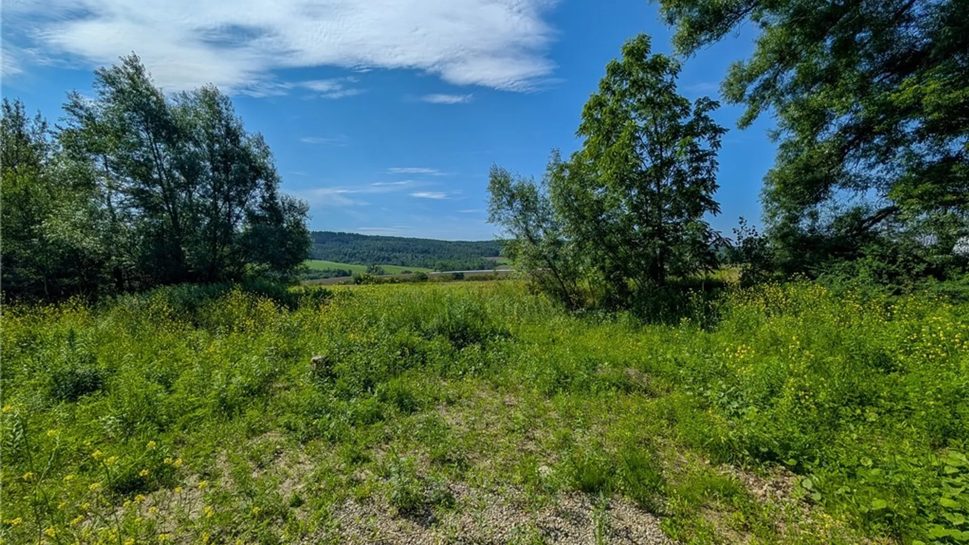 Property at 8947 County Road 3, Centerville, NY 14065 9