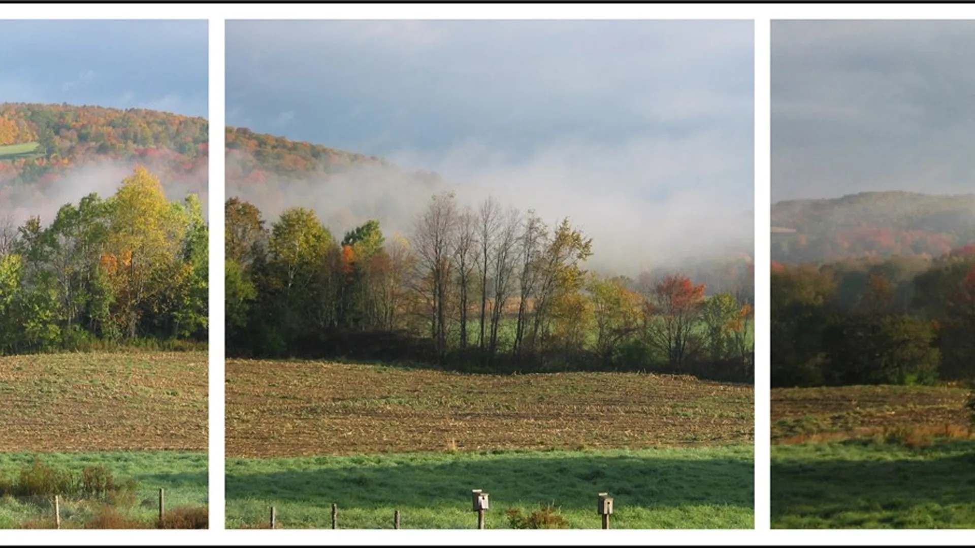 Property at 577 State Highway 165, Roseboom, NY 13320 43