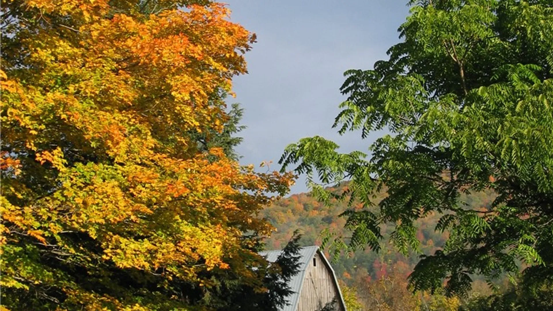 Property at 577 State Highway 165, Roseboom, NY 13320 44