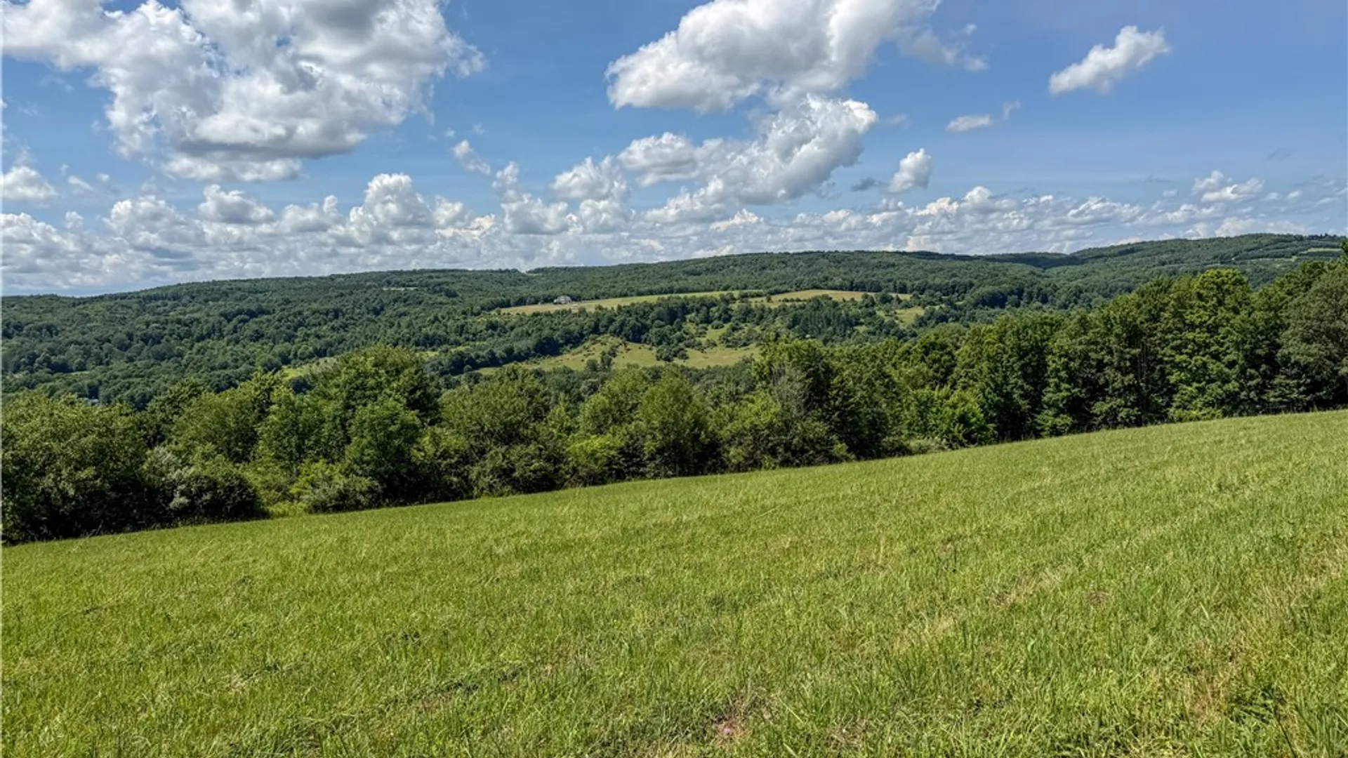 Property at 8602 Bishopville Road, Almond, NY 14807 48