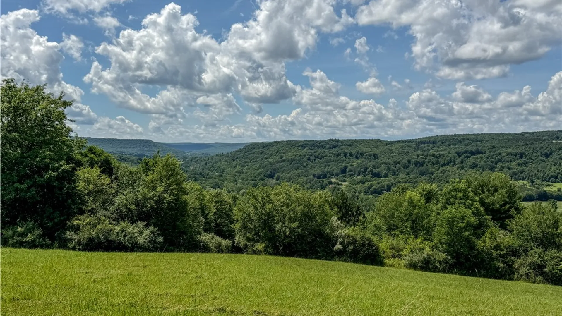 Property at 8602 Bishopville Road, Almond, NY 14807 9