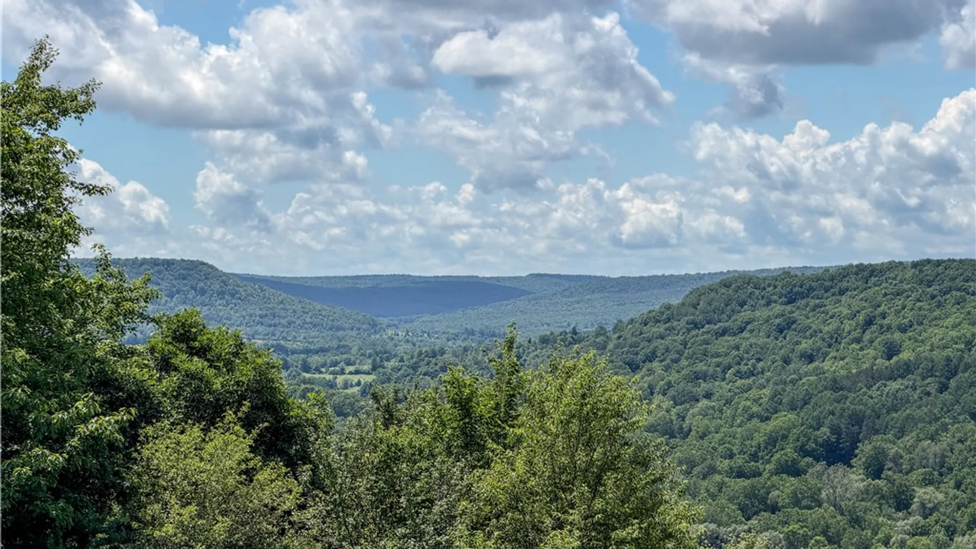Property at 8602 Bishopville Road, Almond, NY 14807 10