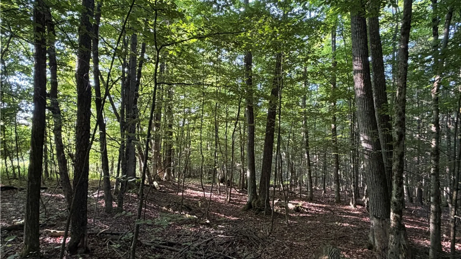 Property at 5153 County Route 10A, Cameron, NY 14819 28