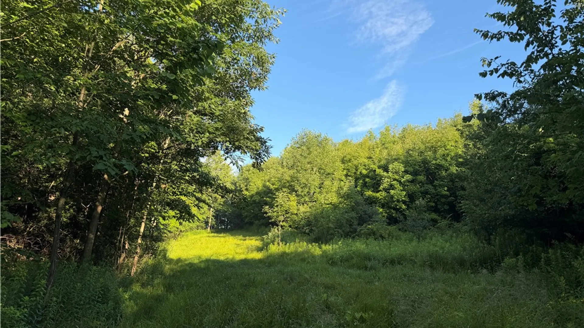 Property at 5153 County Route 10A, Cameron, NY 14819 29