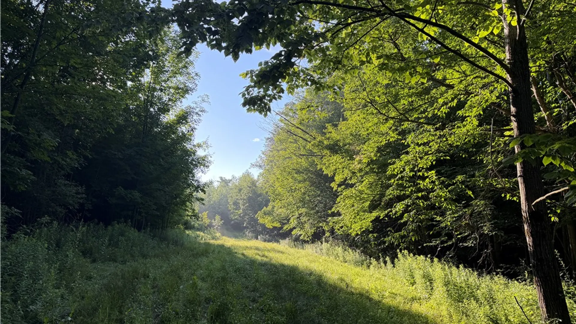 Property at 5153 County Route 10A, Cameron, NY 14819 30