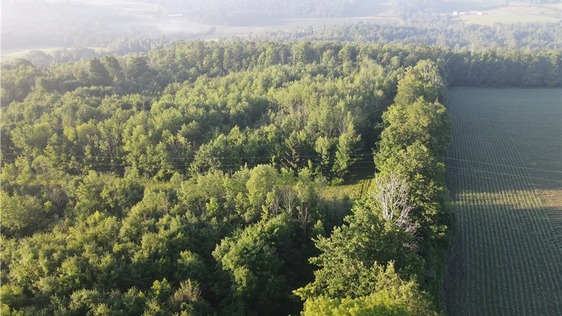Property at 5153 County Route 10A, Cameron, NY 14819 41
