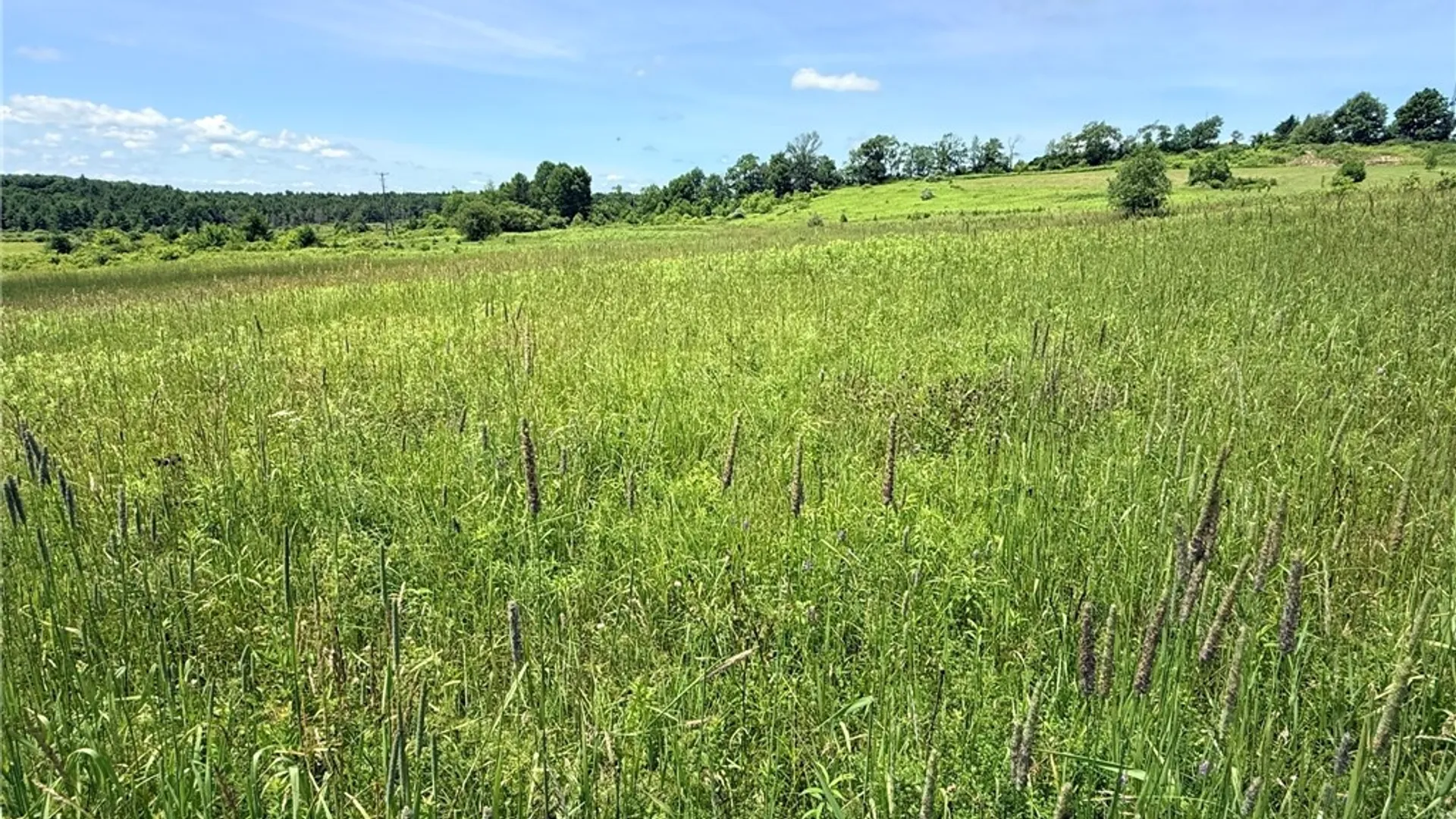 Property at L19 N Pond Road, Guilford, NY 13780 6