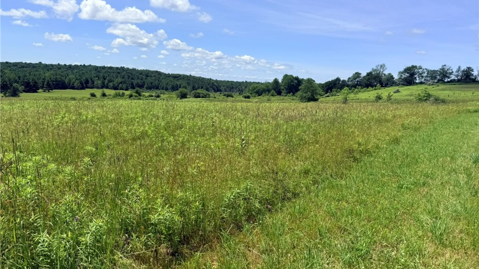 Property at L19 N Pond Road, Guilford, NY 13780 8