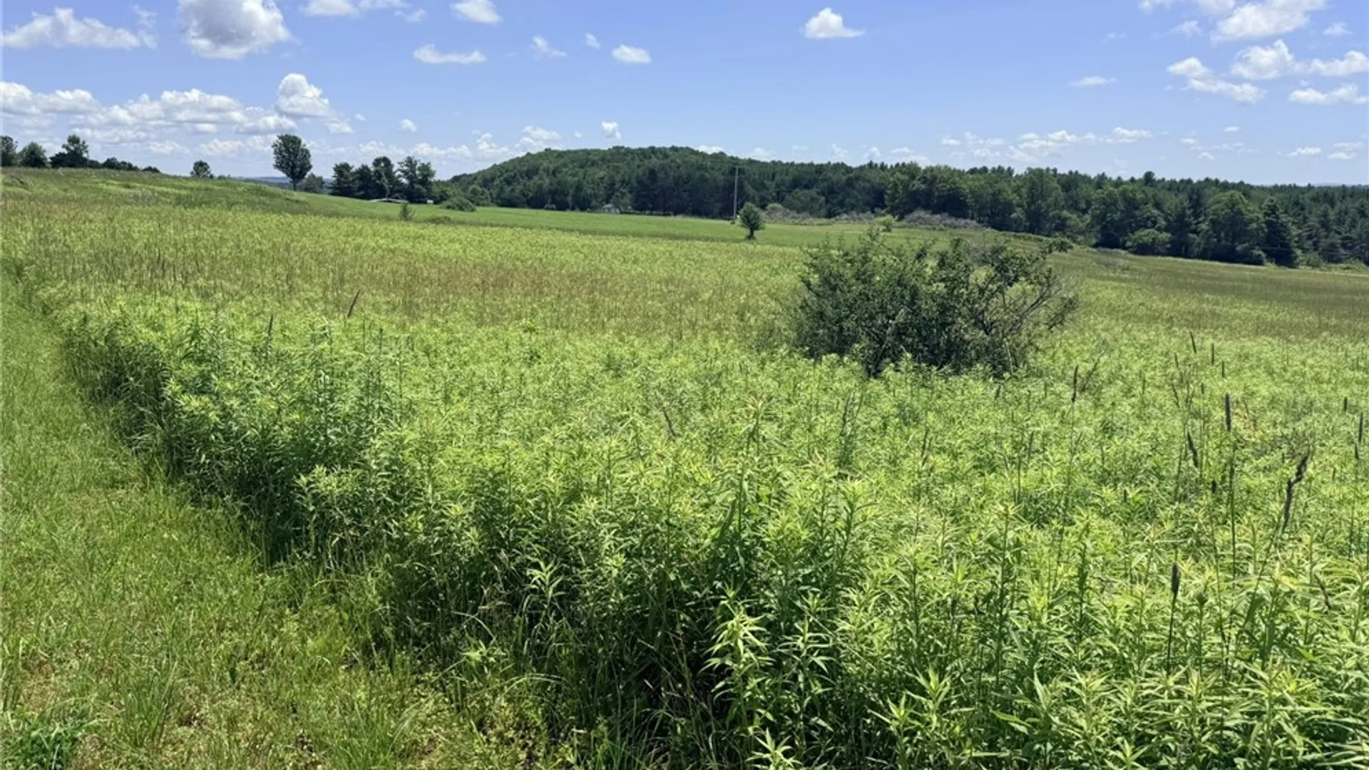 Property at L19 N Pond Road, Guilford, NY 13780 9