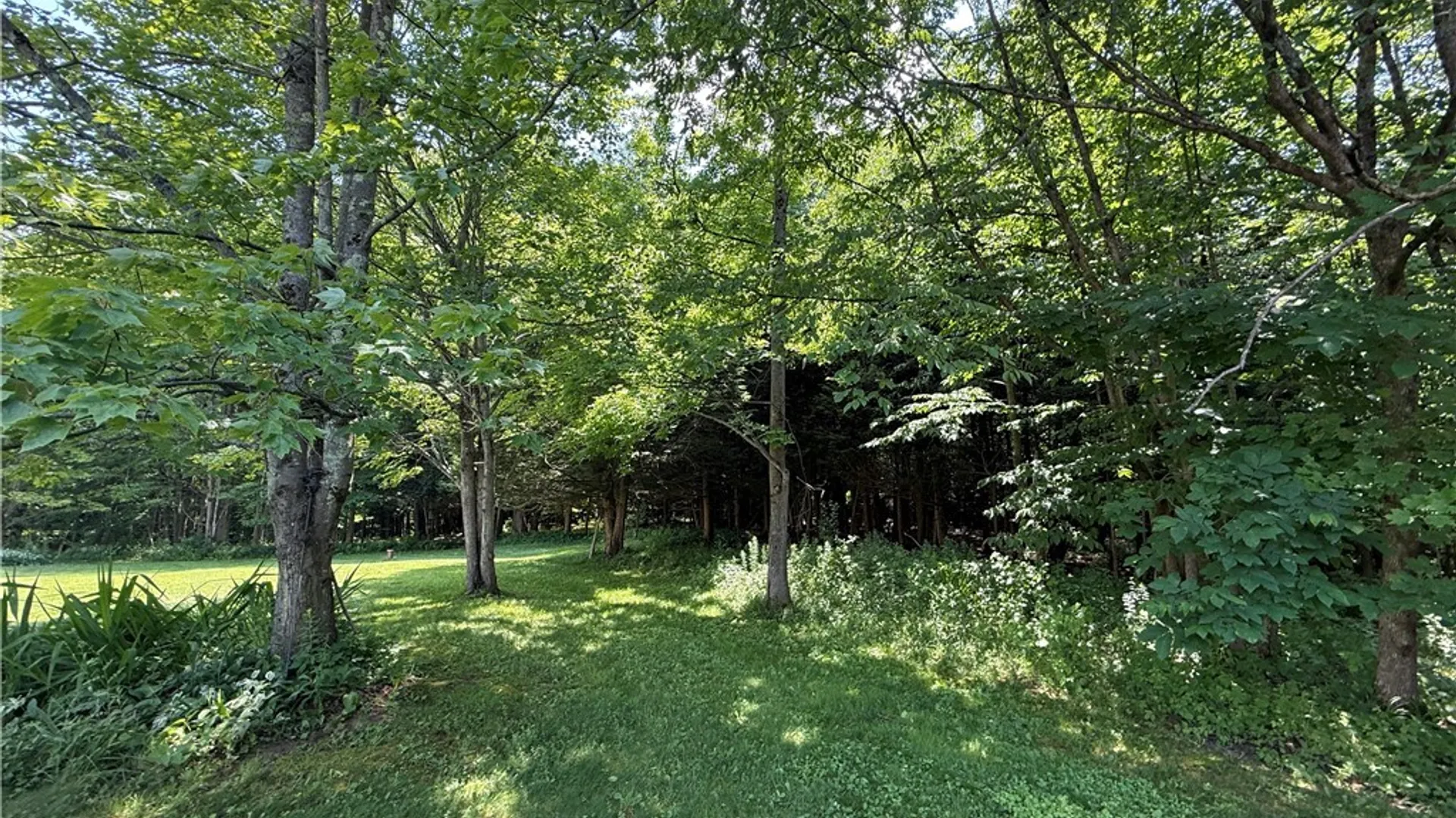 Property at 2195 County Route 15, Sandy Creek, NY 13145 29