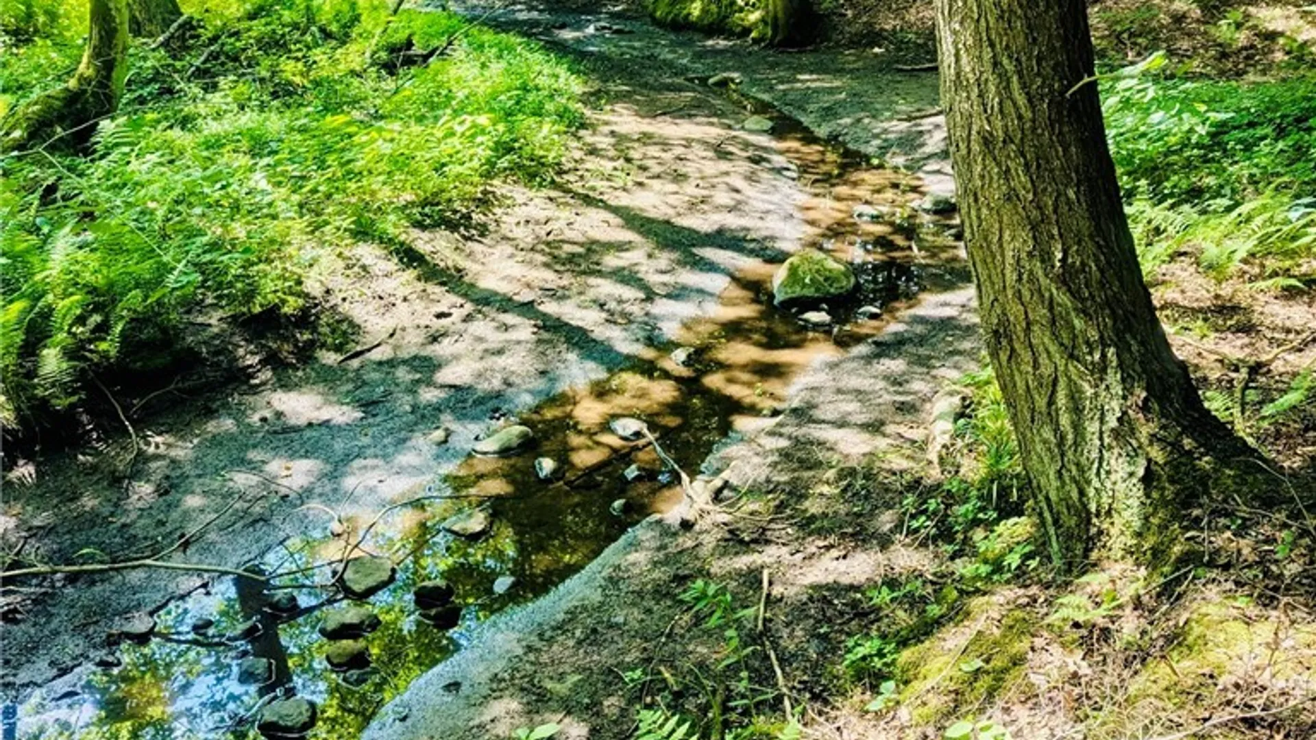 Property at 2195 County Route 15, Sandy Creek, NY 13145 36