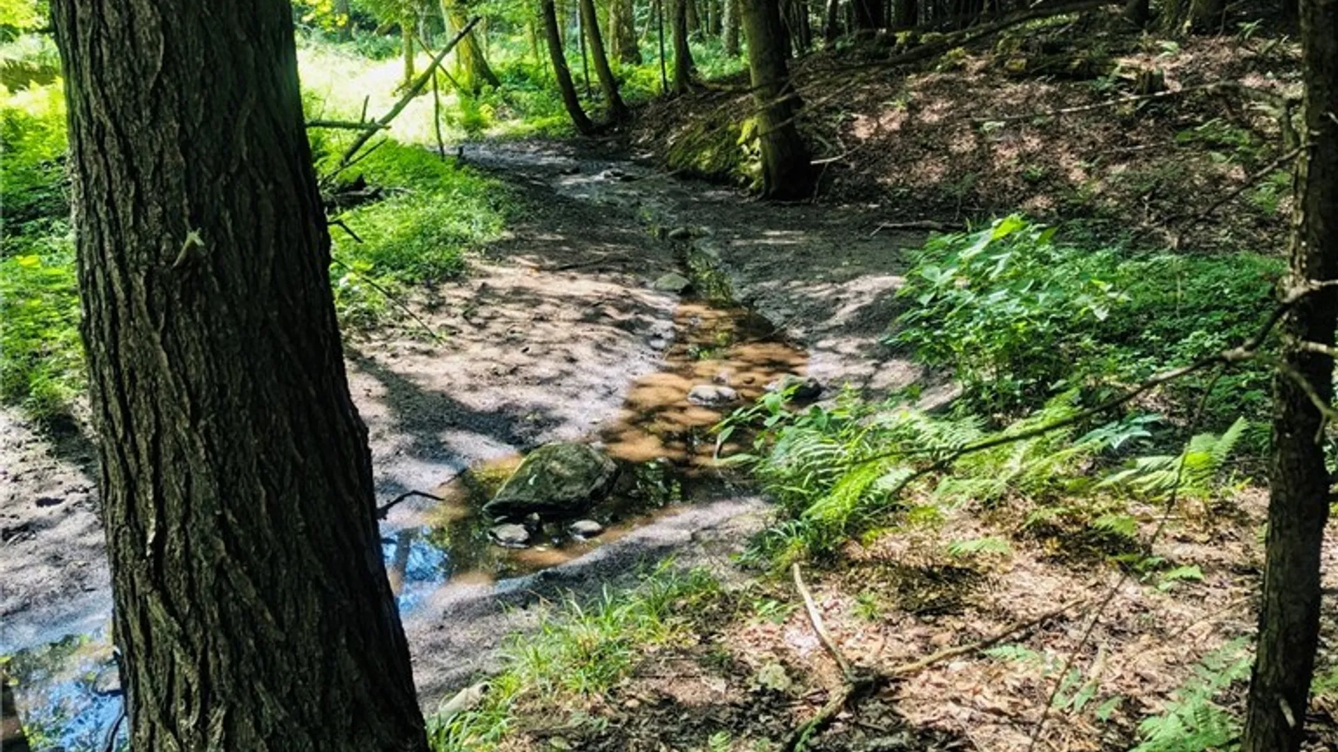 Property at 2195 County Route 15, Sandy Creek, NY 13145 37