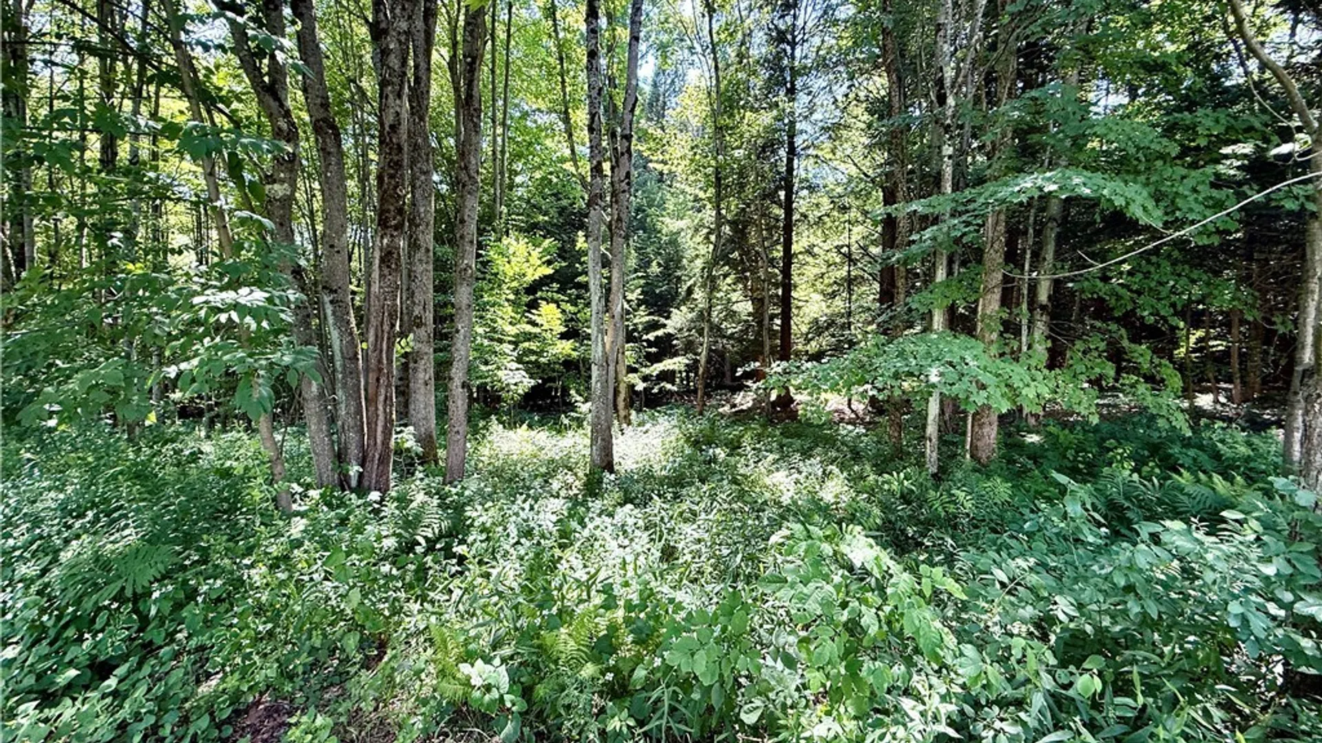 Property at 2195 County Route 15, Sandy Creek, NY 13145 38