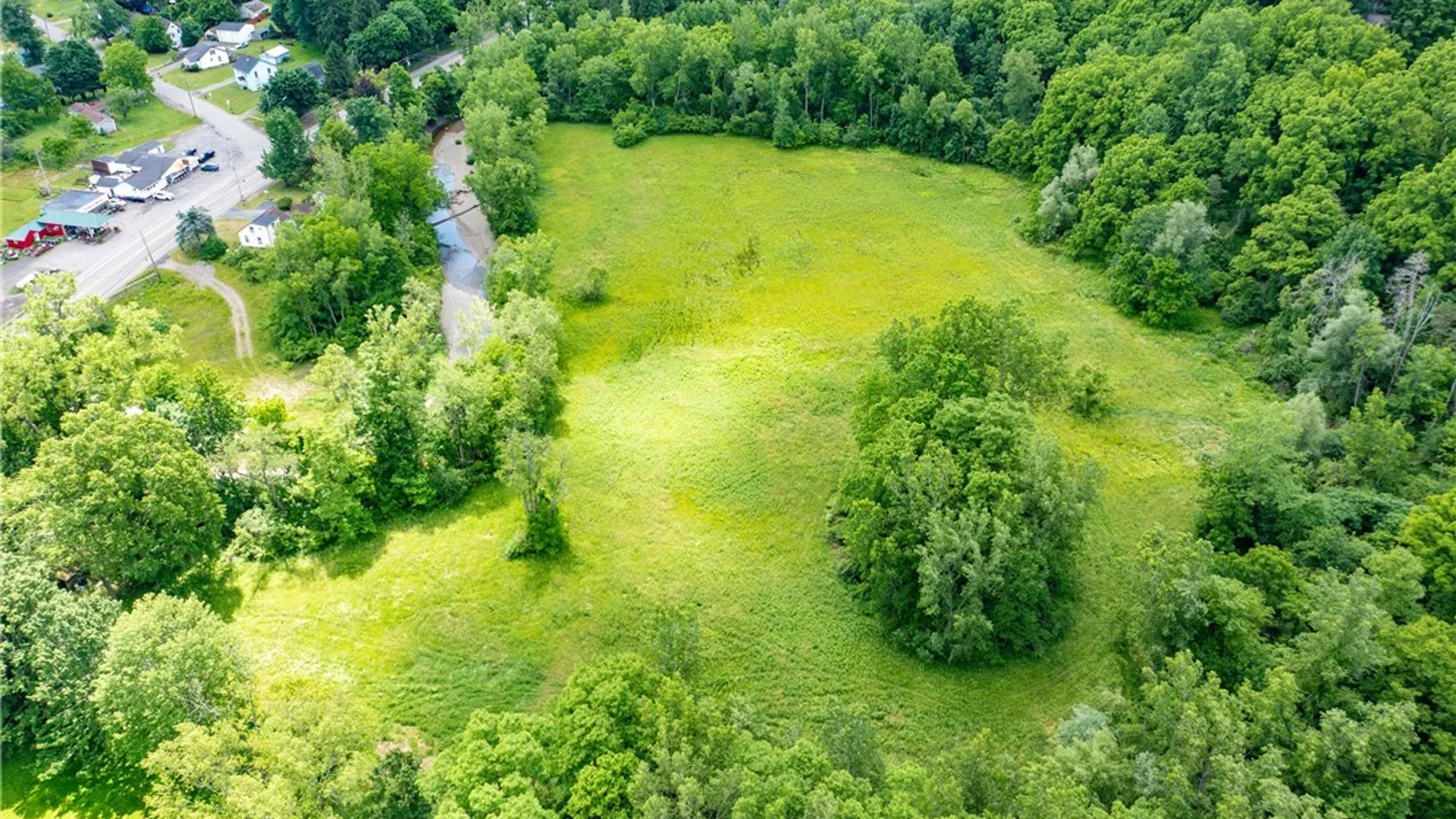 Property at Richardson Road, Collins, NY 14034 4